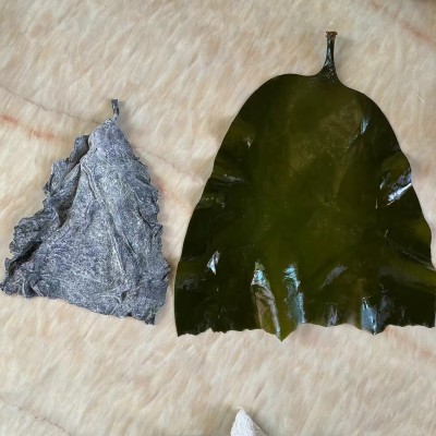 福建霞浦海带盐渍半干海带头新鲜厚实无添加剂厂家直供量大从优图2