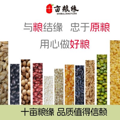 当季新红豆易出沙 250g小包装五谷杂粮红小豆十亩粮缘图5