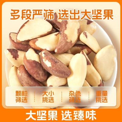 臻味巴西鲍鱼果仁100g袋装原味无添加沙漠果孕妇坚果零食补硒图3