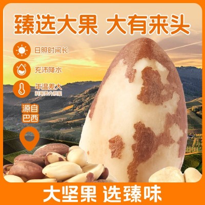 臻味巴西鲍鱼果仁100g袋装原味无添加沙漠果孕妇坚果零食补硒图2