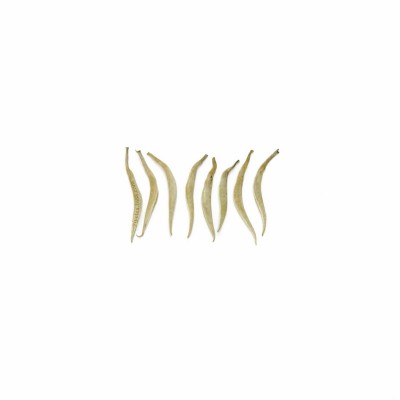 2024云南白毫银针散装批发特级古树白茶大白毫花香单芽月光白新茶图5