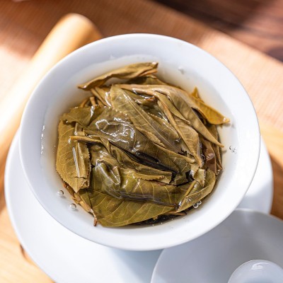 普洱茶批发云南厂家直发大雪山普洱生茶饼七子饼茶大叶种晒青茶图4