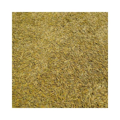 2024新茶黄金芽凤型黄金白茶黄金叶绿茶批发250g精美礼盒茶叶茶厂图5