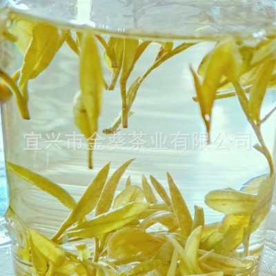 2024新茶黄金芽凤型黄金白茶黄金叶绿茶批发250g精美礼盒茶叶茶厂图4