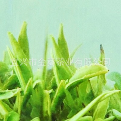 2024新碧螺春特级耐泡浓香绿茶精美礼盒图5