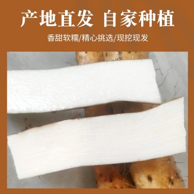 铁棍山药正当季铁杆山药怀山垆土小白嘴山药新鲜现挖铁棍山药图2