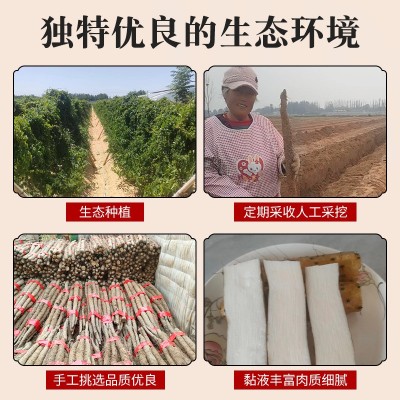铁棍山药正当季铁杆山药怀山垆土小白嘴山药新鲜现挖铁棍山药图4