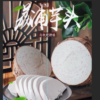 正宗广西荔浦芋头特大槟榔芋香芋毛芋批发 种植基地新鲜采挖直发图1