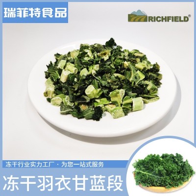冻干羽衣甘蓝段果蔬蔬菜脱水蔬菜丁宠物零食散装鹦鹉鸟低脂图4
