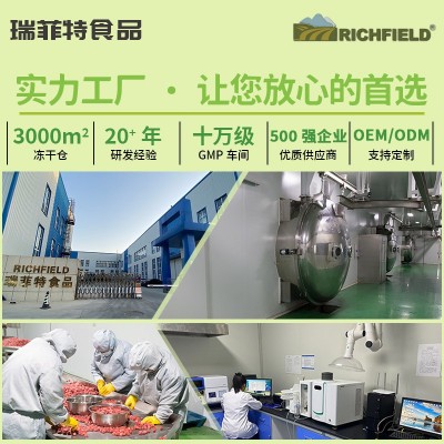 冻干水果干厂家批发冻干蔬菜果蔬块0添加草莓脆西兰花秋葵 苹果片图3