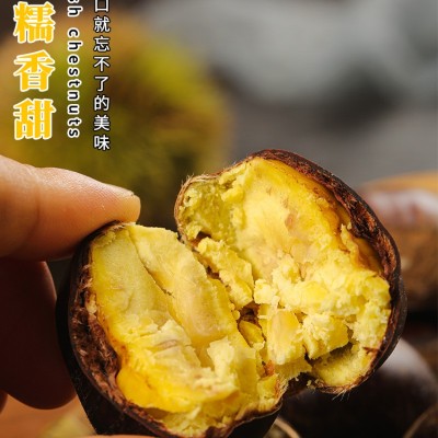 ny新鲜丹东生板栗10斤当季大板栗生栗东北锥栗野生板栗大果菜毛栗图4