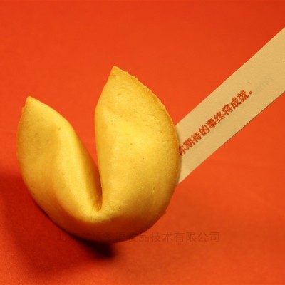 厂家批发现货幸运签语饼/整箱300个曲奇饼饼干糕点休闲零食礼品图3