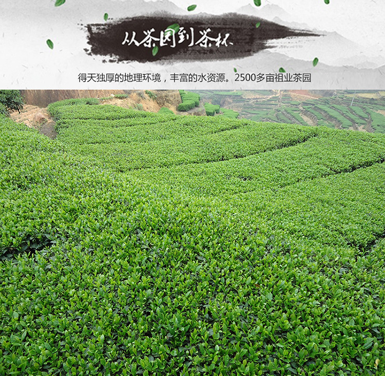 未标题-1_07