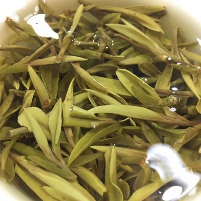 2020年福鼎春茶白牡丹福建首采高山明前一芽一叶白茶散茶500g茶叶图3