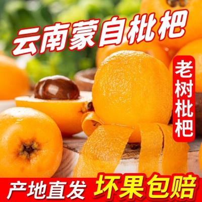 云南蒙自枇杷整箱新鲜大果现摘鲜果孕妇琵琶时令水果当季一件代发图1