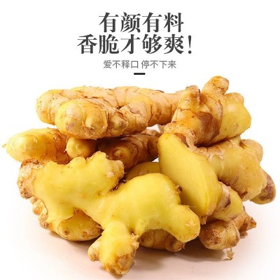 云南富宁小黄姜鲜姜嫩姜月子姜现挖姜批发1/3/5/10斤整箱批发现货图5