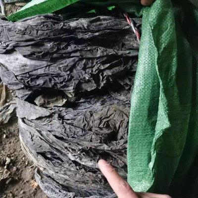 叶大厚实地摊海带批发黄叶少沙少整条海带皮跑江湖晒干海带干货图4