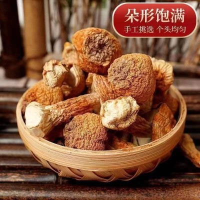 云南特产菌菇姬松茸干货肉质肥厚产地货源袋装30克抖音视频号代发