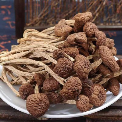 古田未开伞茶树菇干货不开伞茶树菇厂家货源小包装抖音视频号代发图2