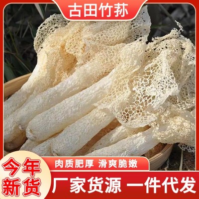 古田菌菇竹荪干货产地厂家货源多规格包装15g抖音拼多多一件代发图2