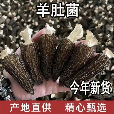 云南菌菇干货羊肚菌产地源头厂家10克小包装多规格抖音拼多多代发图3