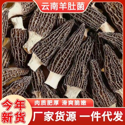 云南菌菇干货羊肚菌产地源头厂家10克小包装多规格抖音拼多多代发
