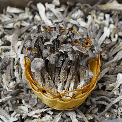 500g鹿茸菌散装批发 干货厂家直供鹿茸菇 食用菌酒店食材批发图2