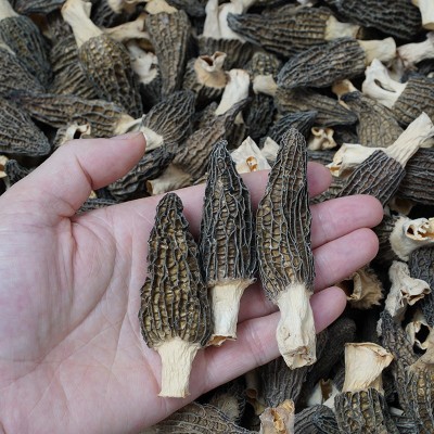 散装古田银耳种植农家生产白木耳新鲜产地大花朵银耳一件代发图4