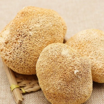 古田深山猴头菇干货煲汤猴菇非新鲜250g菌菇袋装直销养胃猴头菌图3