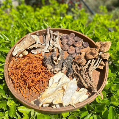 福建宁德寿宁工厂直供高山羊肚菌汤包60g批发菌菇干货批发图3