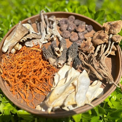福建宁德寿宁工厂直供高山羊肚菌汤包60g批发菌菇干货批发图4