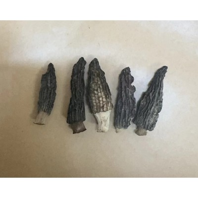 云南羊肚菌干货蘑菇类特产散装羊肚菌厂家直销散装食用菌产地批发图5