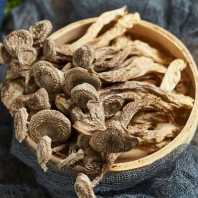 云南特产鹿茸菇干货 厂家批发食用菌鹿茸菌干货批发 产地货源图5