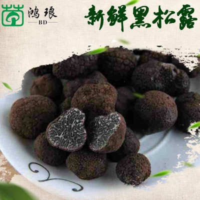 云南特产速冻冰鲜黑松露成熟黑芯2-3cm 食用菌菇批发产地批发图3