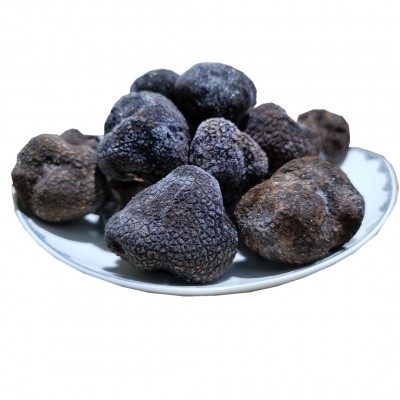 全成熟速冻黑松露特产块菌猪拱菌散装250g 产地冰鲜批发支持代发图5