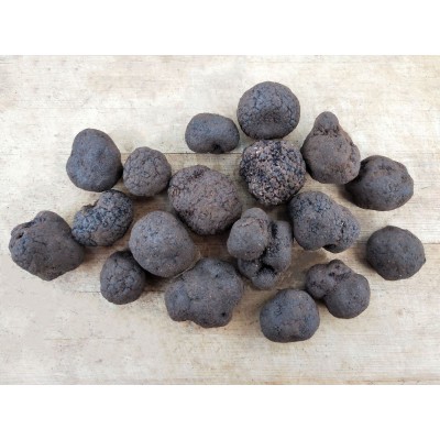 【新鲜黑松露 】云南特产 食用块菌猪拱菌散装1000g 新鲜现货批发图5