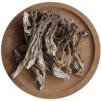 高山鹿茸菇干货批发10斤商用鹿茸菌福建菇里巴巴古田特产新鲜脆脆图5
