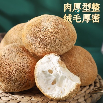 古田猴头菇干货深山煲汤猴菇头非新鲜500g菌菇袋装批发直销养胃图2