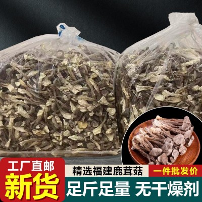 精选鹿茸菇干货福建古田特产净重500g非特级新鲜鹿茸菌商用脆脆菇图2