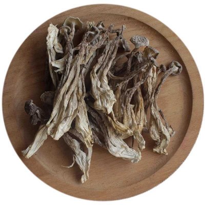 精选鹿茸菇干货福建古田特产净重500g非特级新鲜鹿茸菌商用脆脆菇图4