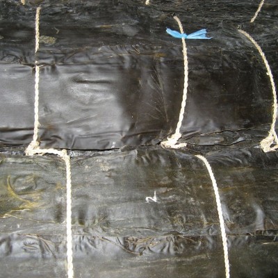 1000克g干海带干 昆布海鲜干货水产干制品批发出口品质图2