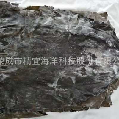 整片海带干货海带板日晒级无沙厚海带去尾修边昆布海带图2