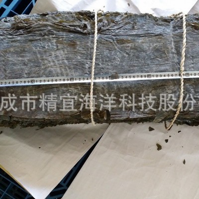 整片海带干货海带板日晒级无沙厚海带去尾修边昆布海带图3