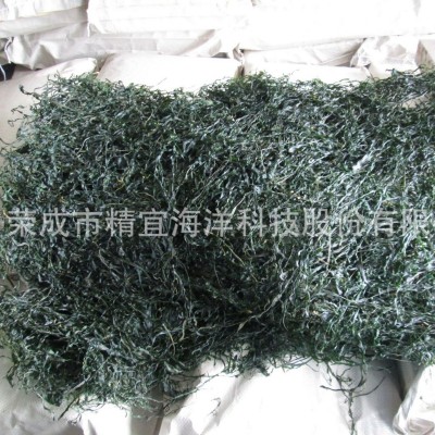 批发优质山东烘干海带烘干海带丝无沙海带丝海带干货厂价销售图3