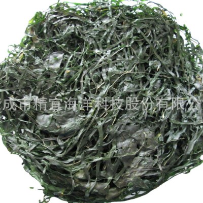 批发优质山东烘干海带烘干海带丝无沙海带丝海带干货厂价销售图5