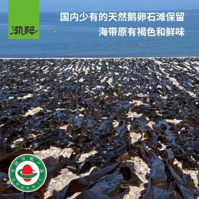 坤上有机干海带板干货批发晒干500g袋装商用无沙海带丝片煲汤凉拌图2