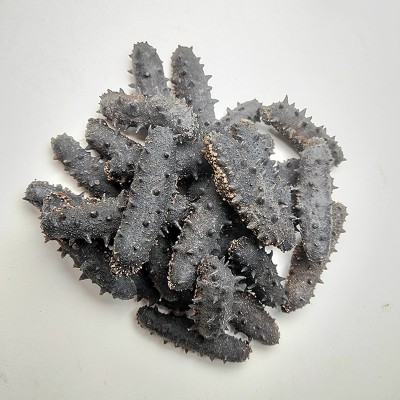 大连福兴岛海参工厂批发大连特产大连海参50g淡干海参海参干货图4