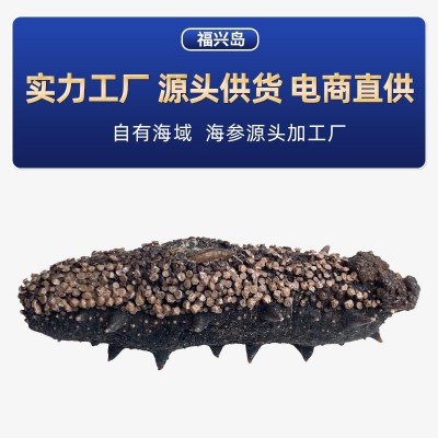 大连福兴岛海参工厂批发大连特产大连海参50g淡干海参海参干货图5