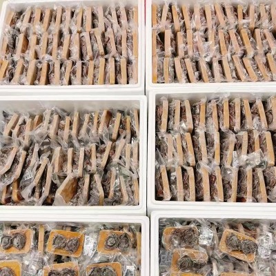 即食溏心鲍鱼20头2只装吉品鲍专业熬制冷冻海鲜一手货源直销批发图5