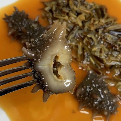 野米扣海参加热即食辽参鲍鱼汁大刺参海参淡干酒店会所批量批发图4